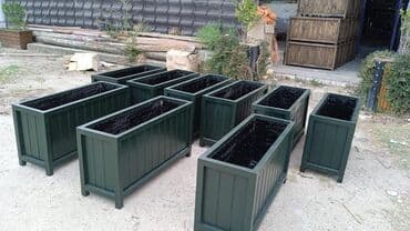 dibçek gulleri: Dibçək güldanlar. Dipçəklər bir başa sexdən.Sex qiymətinə. ♦️Endrim — 2