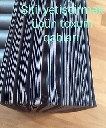 dibcek gulu: Şitil viyolası – peşəkar fidan yetişdirmə üçün plastik çoxgözlü — 6