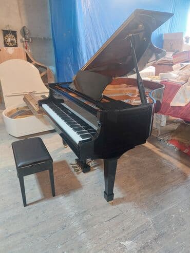 piano petrov: Royal Yeni Münasib qiymətə. Cadrılma və köklənmə qiymətə daxildi — 4