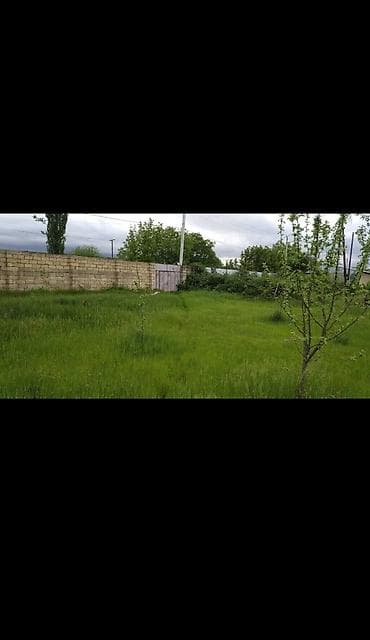 Təhcizatlı həyət evi - Geniş yaşıllıqlı həyət: hündür hasar, darvaza