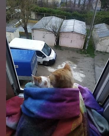 razin kirayə ev: Sumqayıtda 1 otaqlı ev 5 mertebeli binanın 2. ci mertebesi sadece — 2