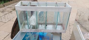 kompressor akvarium: Akvaryum və bölməli yetişdirmə qabları dəsti 2×0.50×0.28 280 litr — 2