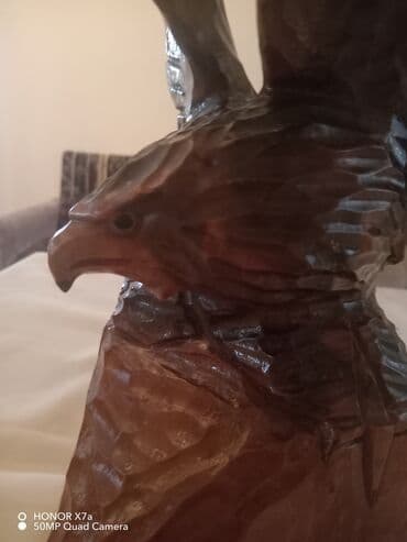 qartal sekilleri yukle: Фигура — 5