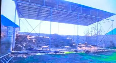 xacmaz rayonu: 12 sot, Kənd təsərrüfatı, Kupça (Çıxarış) — 20