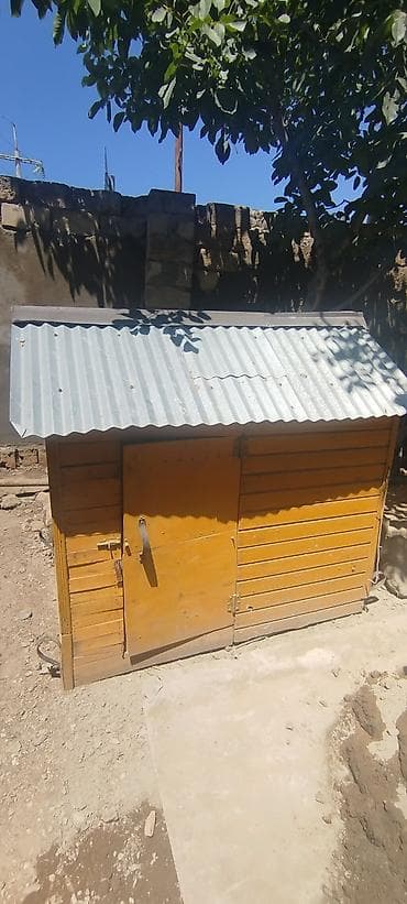 giris qapi: Taxta toyuq/broder evi - Material: qalın taxta karkas, üstü — 1