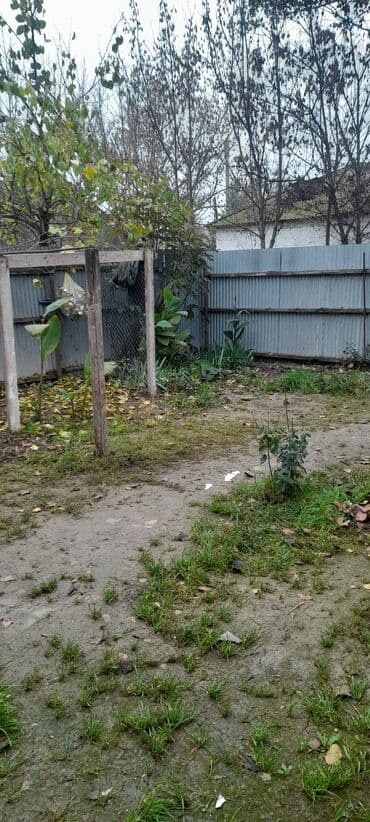 musfiqabad qesebesi kiraye evler: 3 otaqlı, 50 kv. m, Kredit yoxdur, Orta təmir — 4