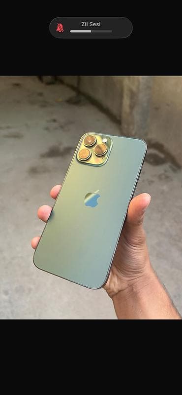 iphone 12 pro max dubai: IPhone 13 Pro Max, 256 GB, Alpine Green — 7