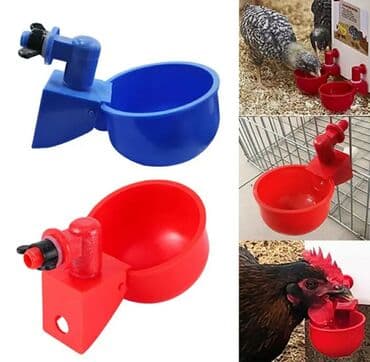 Yem qabı, Su üçün, Quşlar üçün, Ünvandan götürmə, Ödənişli çatdırılma, Rayonlara çatdırılma lalafo.az -da Yem qabı, Su üçün, Quşlar üçün, Ünvandan götürmə, Ödənişli çatdırılma, Rayonlara çatdırılma