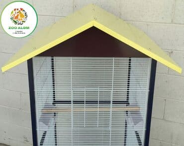 popuqay qefesi: Qəfəs (valyer).Tutuquşu qəfəsi. Dəyərli müştərilərimizin istəyi — 5