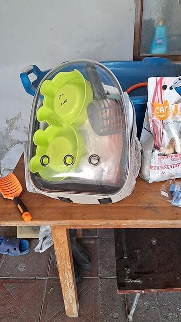 simental inek satilir: Digər heyvanlar — 3