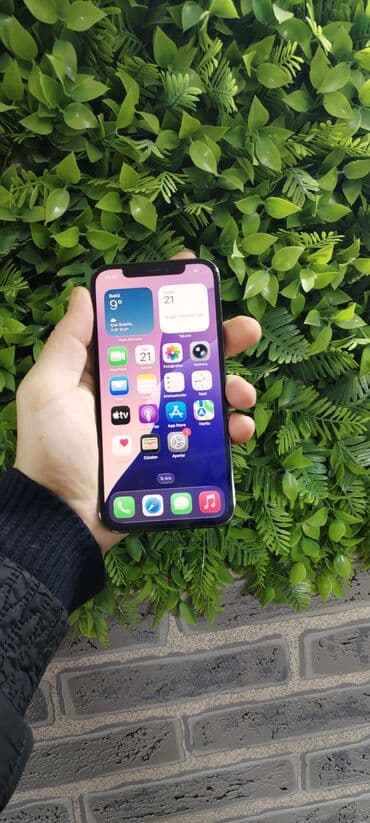 Техника для кухни: IPhone 12 Pro — 6