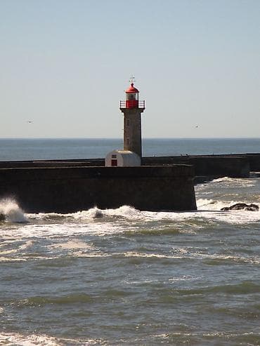 Компьютеры, ноутбуки и планшеты: Canon IXUS 185 Yaxşı vəziyyətdədir, barcelonadan vintage maqazindən — 8