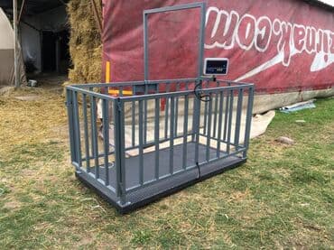 cuce qefes: Heyvanlar üçün hazırlanmış bu metal tərəzi iri buynuzlu heyvanların — 2