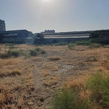 cepis satisi: Biznes üçün, Kupça (Çıxarış) — 2