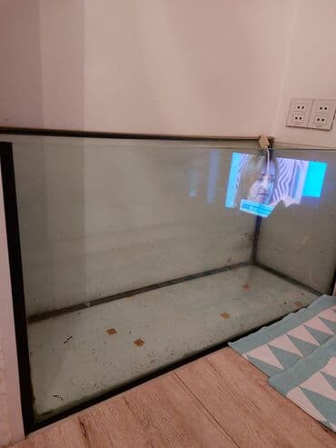 akvarium baliq: Şüşə akvarium - Geniş həcmli, düzbucaqlı forma - Şəffaf, qalın — 1