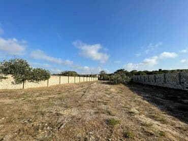 binə qəsəbəsi: 12 sot, Kupça (Çıxarış) — 6