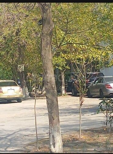 запчасти vw b3: Volkswagen Passat sedan - Korpus: 4 qapılı sedan, qızılı rəngli — 7