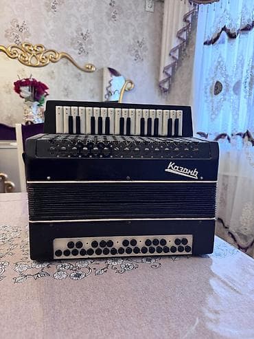 Fleytalar: Akustik Akkordeon, Yeni — 1