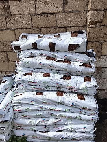 kok: KOKO CHAMPION kokos torfu – peşəkar becərmə və bağçılıq üçün hazır — 1