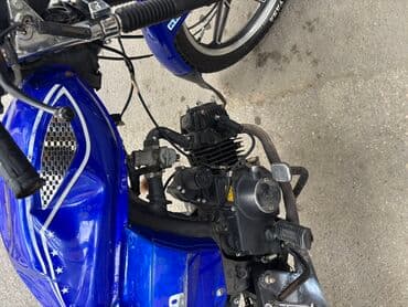 karbirator: - Papik 49, 50 sm3, 24254 km — 2