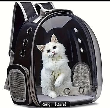 Ev heyvanı üçün şəffaf ön panelli bel çantası (rəng: qara) - Ölçülər