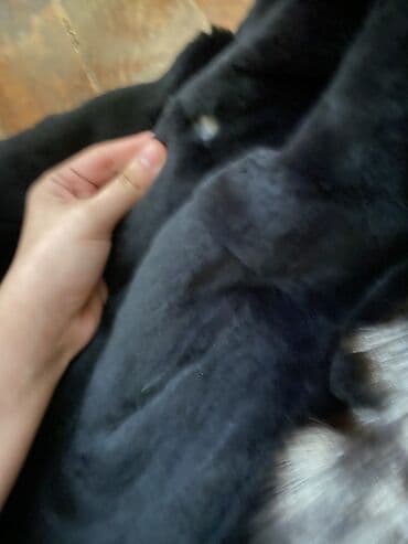 qaragüldən qadın şubaları: Qadınlar üçün iki ayri kürk saxta deyil tebbi tukdu doşan 1 ci — 7