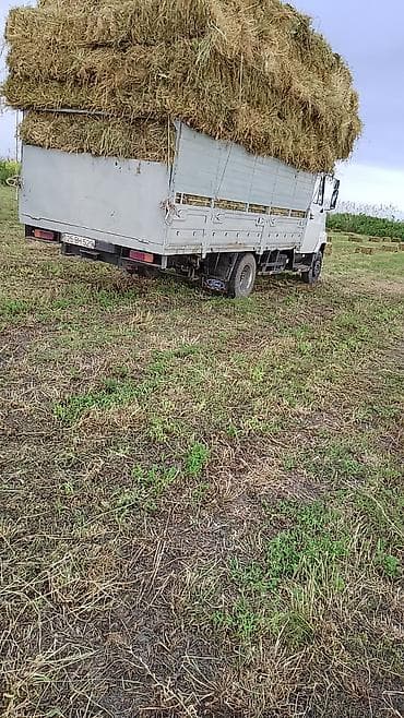 fort: Yük daşıma üçün bortlu yük mabortlu tentlişını - Tip: Orta tonnajlı — 8