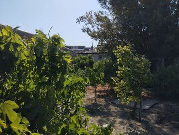 kiraye yer: 150 kv. m, 3 otaqlı, Kombi, Qaz, İşıq — 1