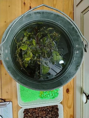 baliq levazimatlari satisi: Akvaryum dəsti – tam komplekt - Şüşə akvaryum, ağ metal/PL çərçivə — 7