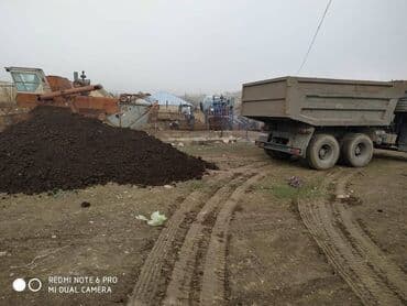 Вилки: Qara torpaq ve Peyin. Artıq Payız gəlişi ilə əlaqədar bağlara — 12