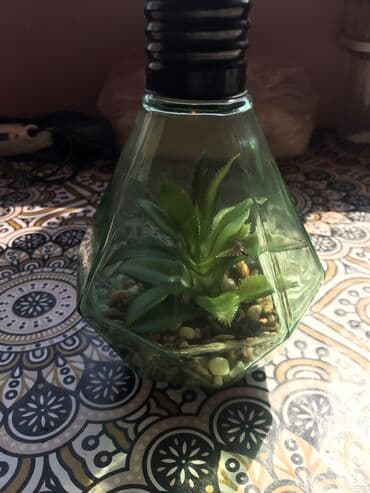 rengli lampalar: Lampa — 3