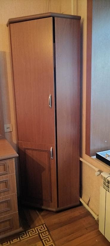 İşlənmiş, 3 qapılı, Siyirməli, Qəhvəyi, Taxta, Açılan, Düz dolab — 1