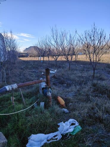 Lexus: Kənd təsərrüfatı — 1