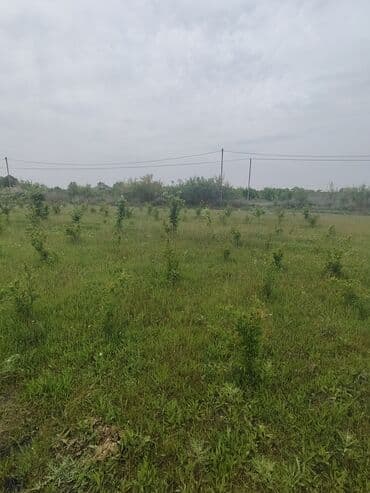 kirayə ev 3 otaq: Kürdəmir, 3000 kv. m, 2 otaqlı, Hovuzsuz, Qaz, İşıq, İnternet — 6