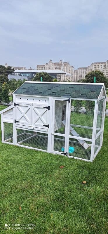 домики для кошек баку: Toyuq yuvası dovşan yuvası
sifariş qəbul olunur — 1