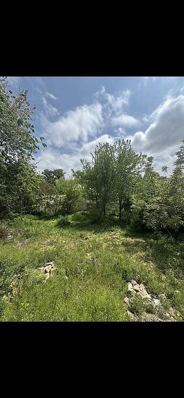 naxcivan elanlari: Tikinti, Kupça (Çıxarış) — 4