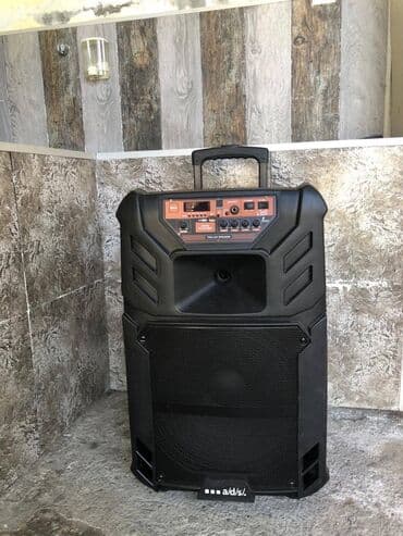 studiya və konsertlərüçün kalonkalar: Kolonka, Növ - Toy üçün, rəng - Qara — 2