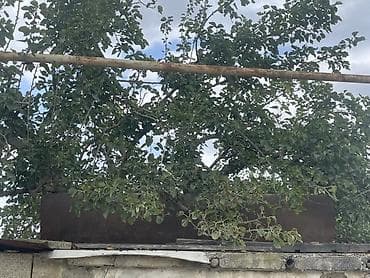 su şlanq: Bak, Metal, 1500 l l, Yeni, Ünvandan götürmə — 2