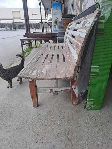 Skameykalar, lavoçkalar: İşlənmiş, 2, Arxalı, Taxta — 5