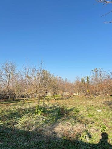 Qarajlar: 17 sot, Tikinti, Mülkiyyətçi, Kupça (Çıxarış) — 10