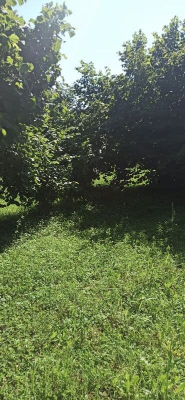 20ci sahe kiraye ev: 100 sot, Biznes üçün, Barter mümkündür, Kupça (Çıxarış) — 10
