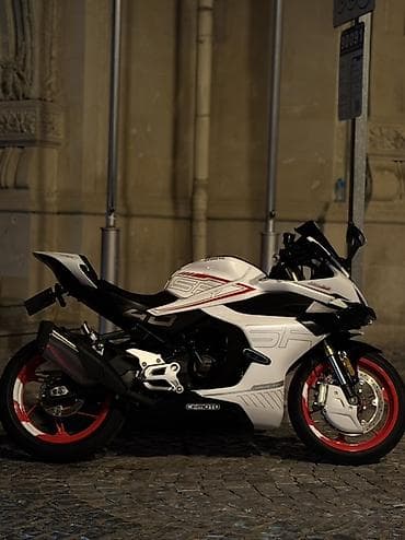 sport filter: - 450SR, 450 sm3, 2900 km — 2