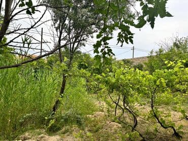 дачи в аренду посуточно: Баку, Пос. Паршаги, 100 м², 6 комнат — 8