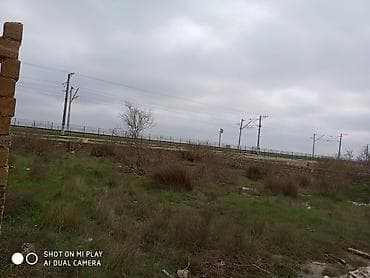 gence torpaq: Tikinti — 7