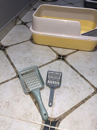 pitbul balaları: Pişik tualeti dəsti - Açıq tipli, ikiqat divarlı pişik tualet qabı — 2