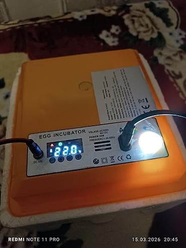 İnkubatorlar: Çin, Bütün növ quşlaq üçün — 5