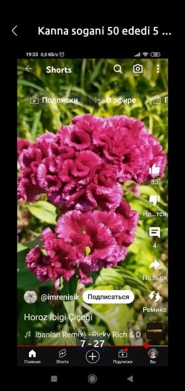 bənövşə: Soganlari payizda yazda . tumlari yazda ekmek lazimdir. 1} Liliya ağ- — 15