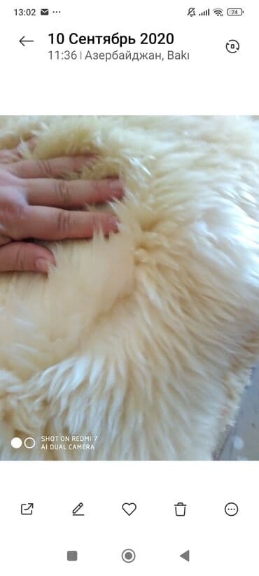 Parçalar: Мерино германия — 5