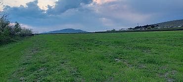 lalafo.az quba: Kənd təsərrüfatı — 9