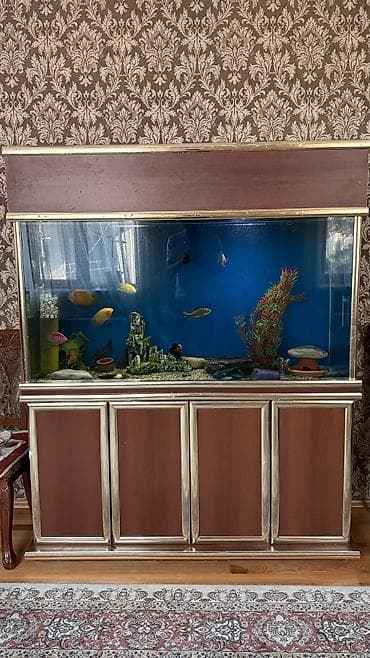 Heyvanlar üçün mallar: Böyük ölçülü şkaflı akvarium komplekti. Akvarium 500 litirlik satılır — 2